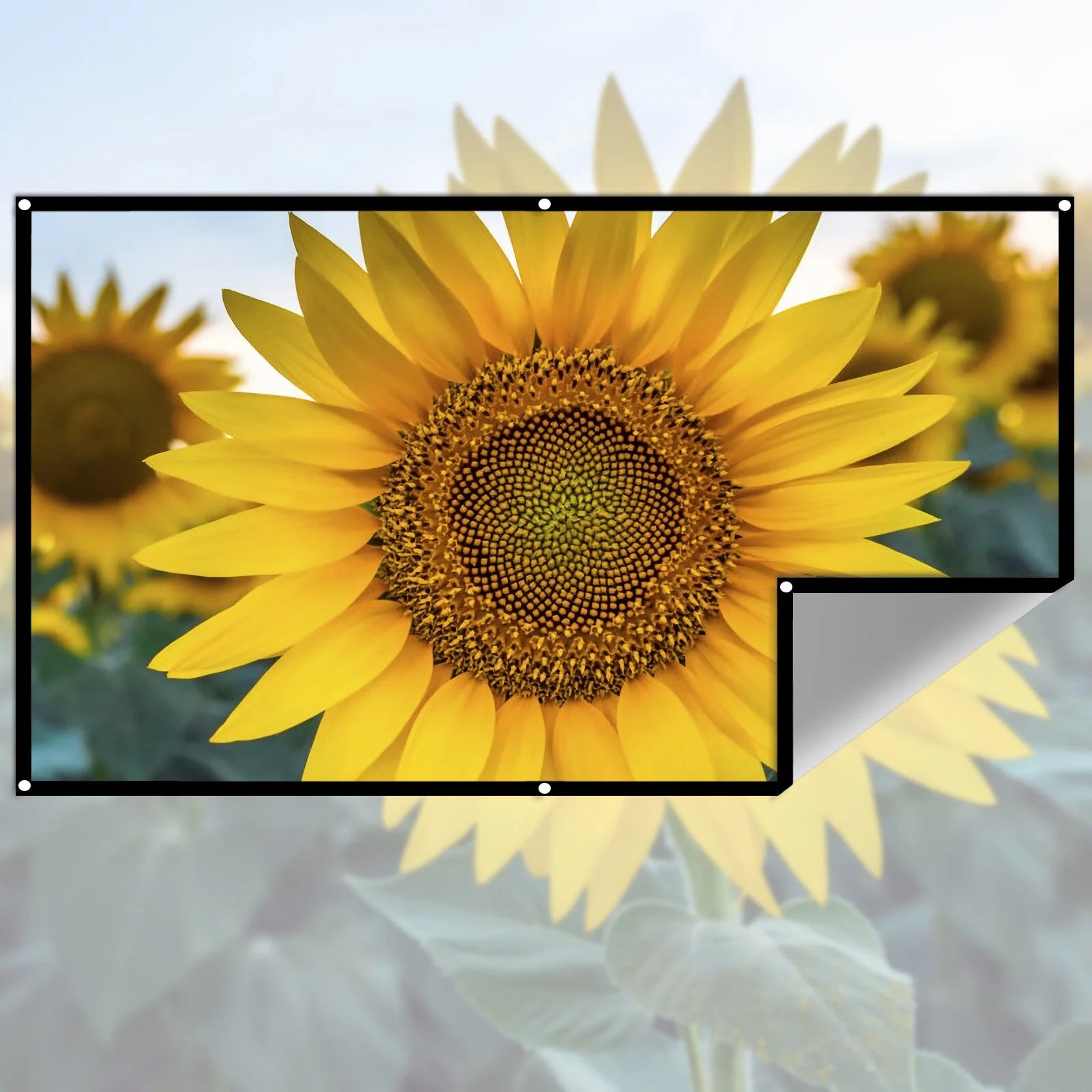 Tela de Projeção Portátil – Tecido Refletor, Alto Brilho, Dobrável com Argolas, PVC Resistente Tela de Projeção Portátil – Tecido Refletor, Alto Brilho, Dobrável com Argolas, PVC Resistente